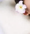 花提取物