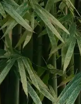 走的哦啊哪里的