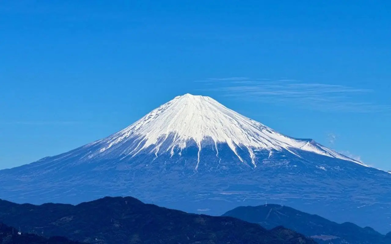 规划局已