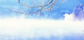 小雪菲菲