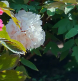 王读后感