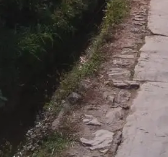心在呼唤