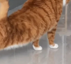 扫穷理