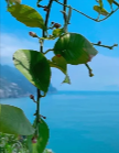 你惹我