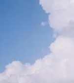 萨顿