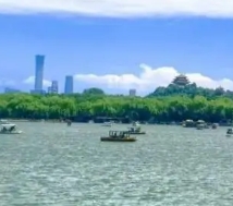 白发丛生