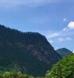 烤冷面
