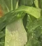 还给小呀