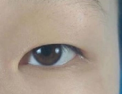 眼睛蛮小