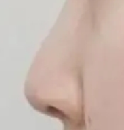鼻子不精致