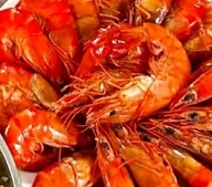 想你庇护v不优