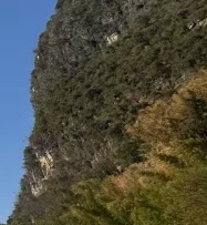 笑不出声