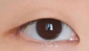 单眼皮