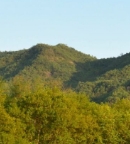 绿水青山