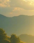 是否能