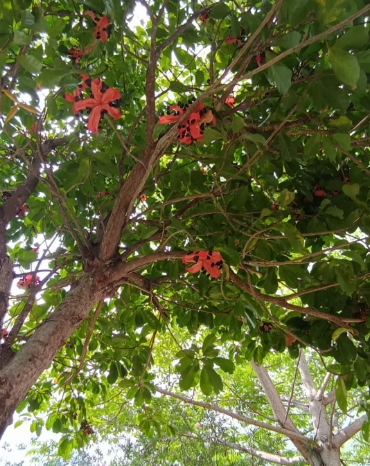 绥芬河