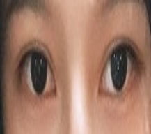 真的好看